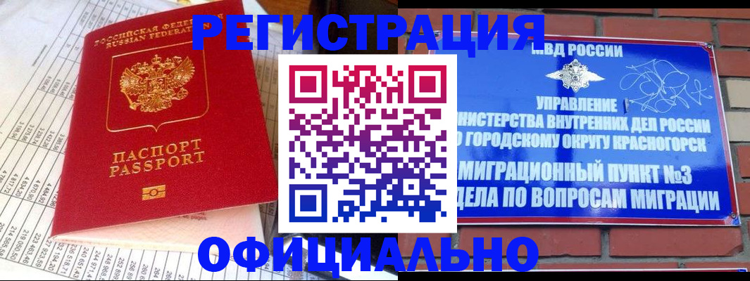 прописка поиск в Ногинске
